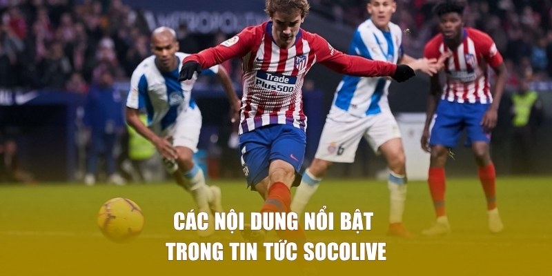 Những chủ đề nổi bật được cập nhật tại nền tảng