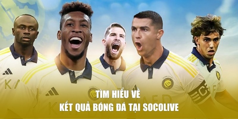 Tìm hiểu về kết quả bóng đá tại SOCOLIVE